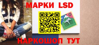 индика Ярославль