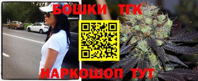 индика Ярославль
