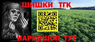 индика Ярославль