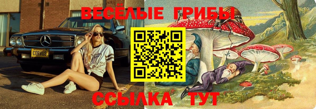 Галлюциногенные грибы ЛСД  Вход с VPN  Галлюциногенные грибы прущие грибы  Менделеевск 