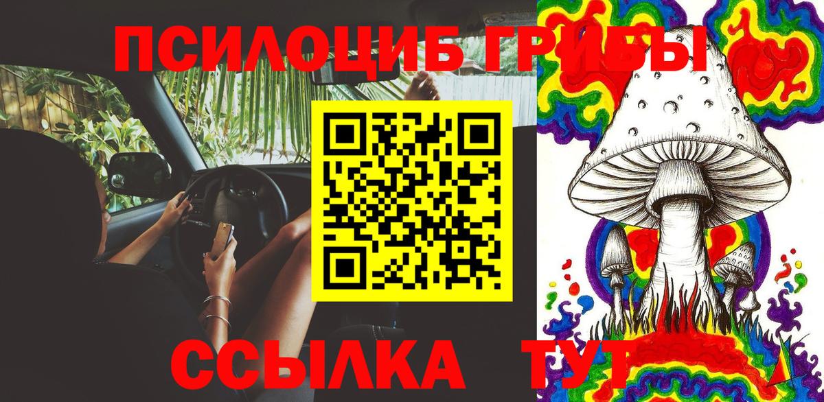 Псилоцибиновые грибы Psilocybine cubensis Менделеевск